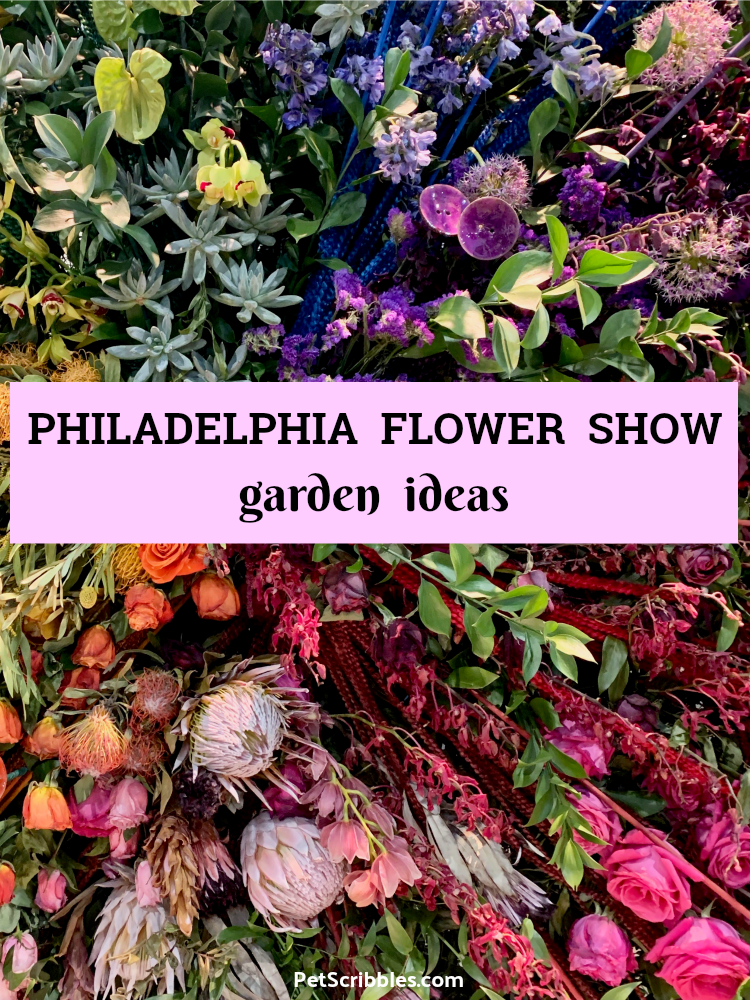 Philadelphia Flower Show photos filled with garden ideas and inspiration, from the 2019 show titled Flower Power!