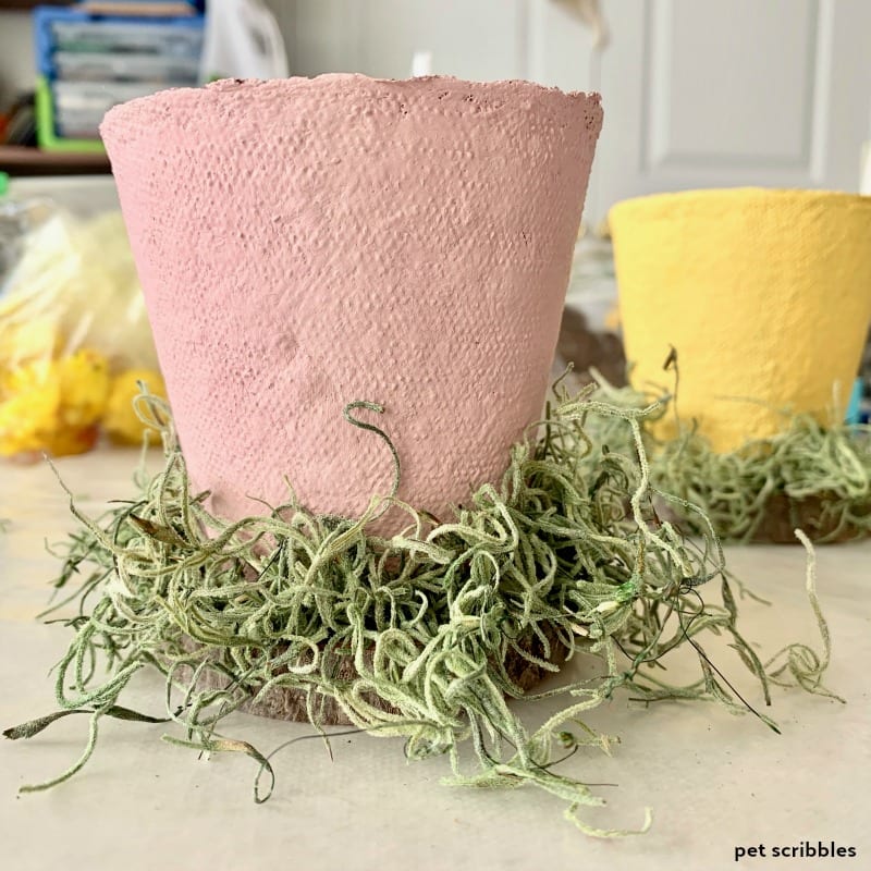 Spanish moss for peat pot crafts