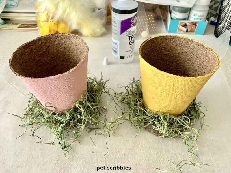 Spanish moss glued around peat pot base