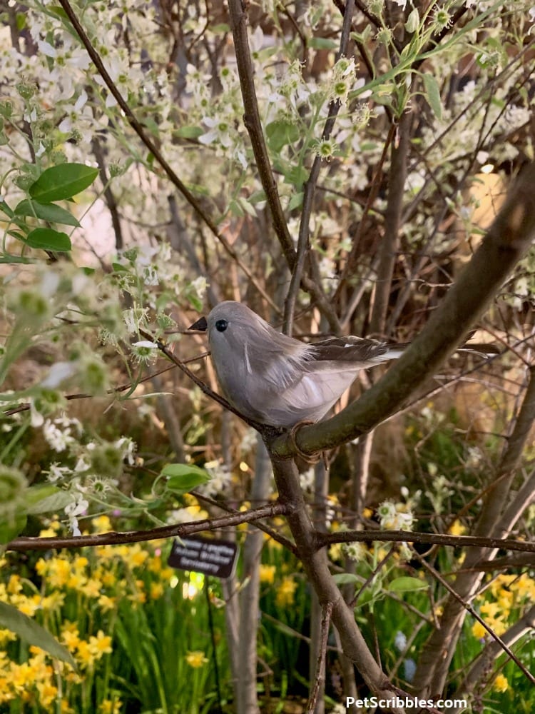 fake bird in Serviceberry tree at 2019 Philadelphia Flower Show