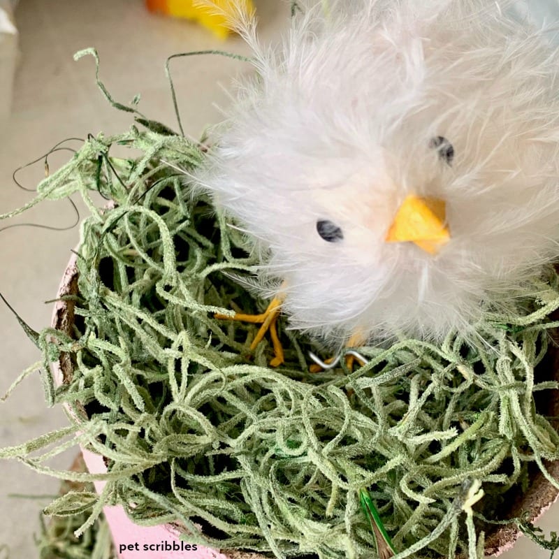 how to attach an Easter chick to a peat pot decoration