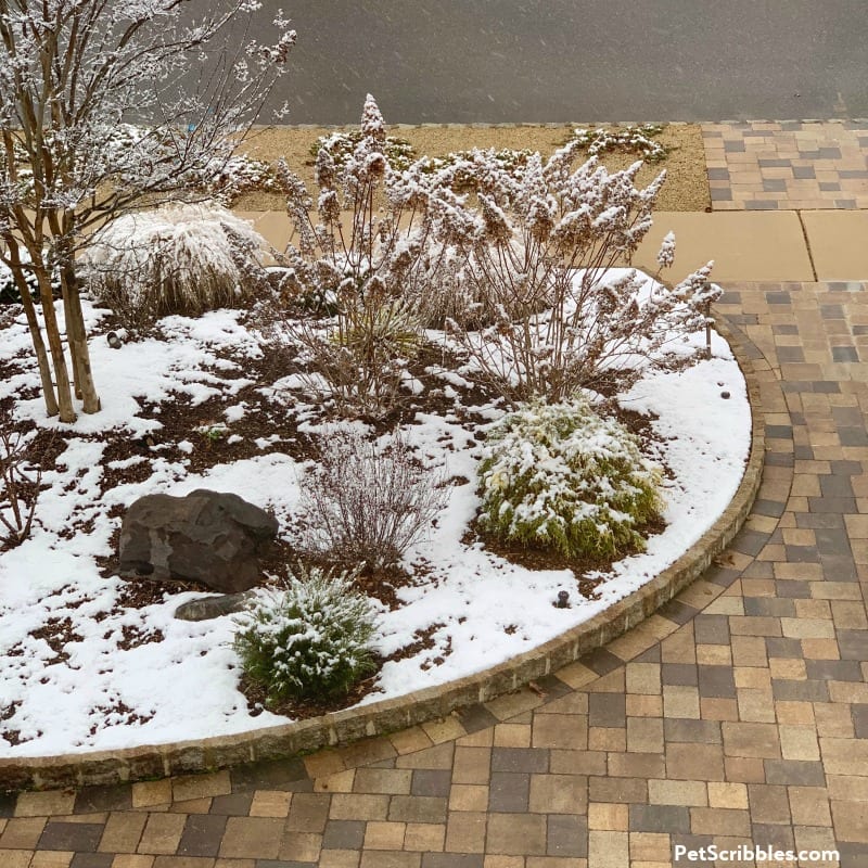 early Winter snow on garden bed