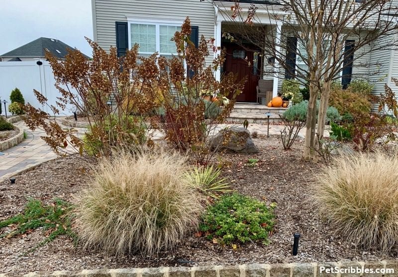 late November front yard garden bed