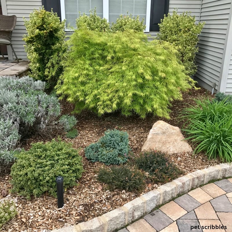 front entrance garden bed filled with different shades of green