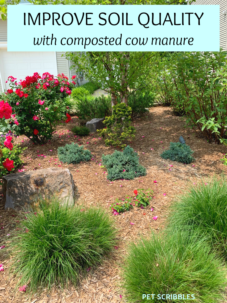 How Long Does Cow Manure Need To Compost