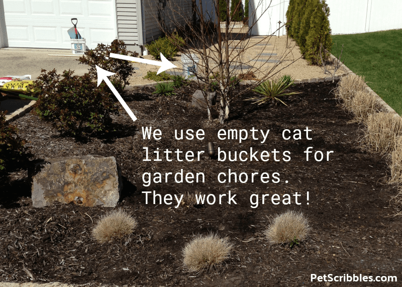 empty cat litter buckets used for garden chores