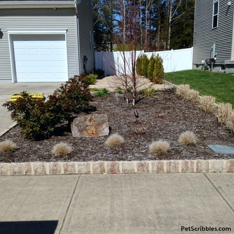 garden bed with old mulch on top