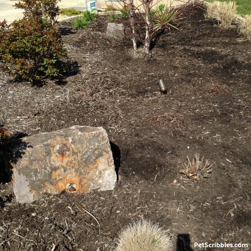 garden bed with old mulch removed