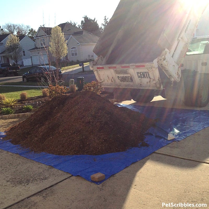 garden mulch being dumped out of a truck