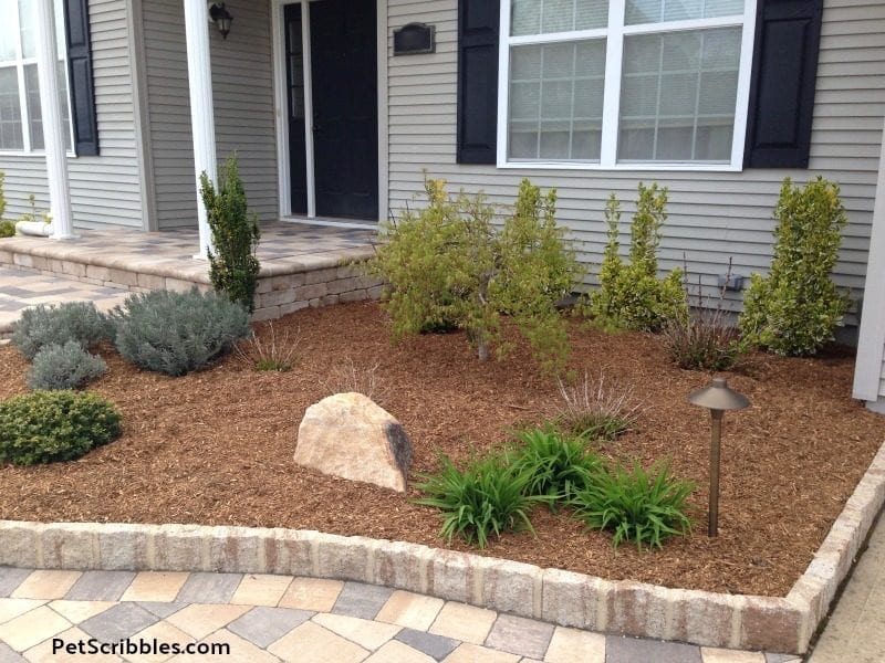 new garden bed with fresh mulch and composted cow manure