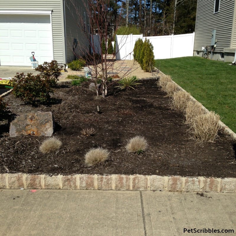 new garden soil added into an existing garden bed