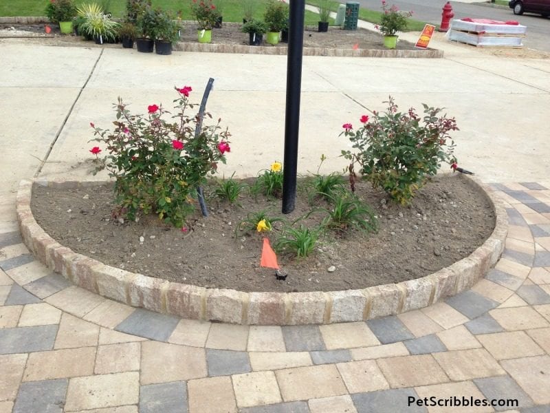 newly constructed lamp post garden bed