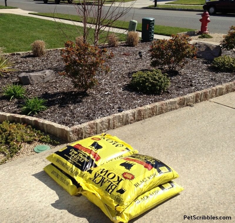 bags of Black Kow composted cow manure next to large garden bed