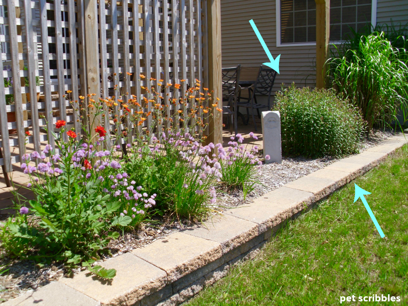 Summer blooming perennial garden