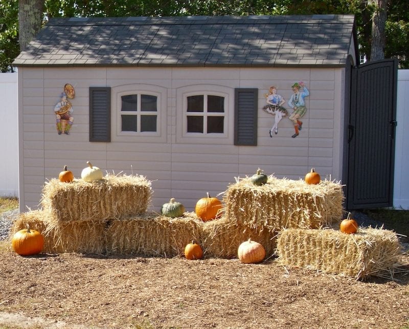 hay bales, pumpkins