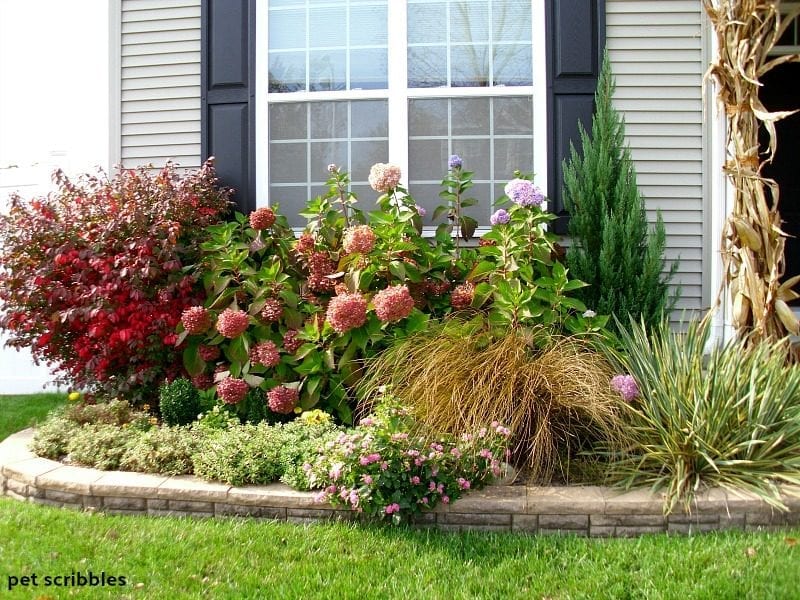 Fall garden with a mix of colors, textures and shapes