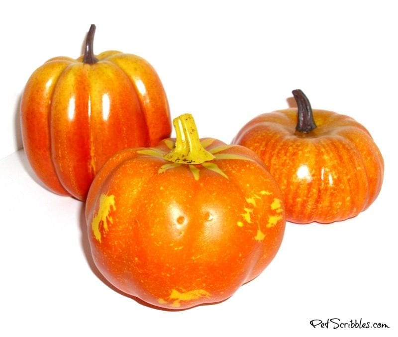 basic orange dollar store pumpkins