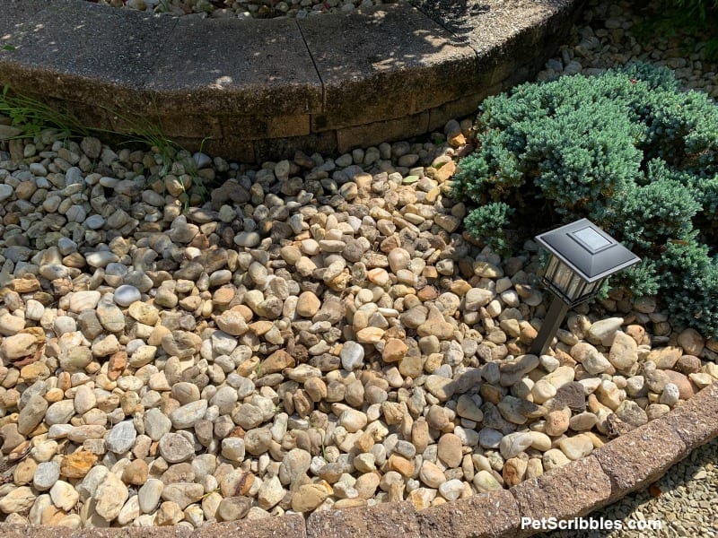 river rocks in garden bed