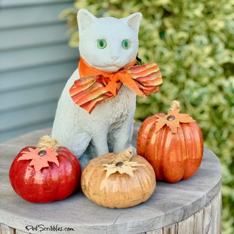 Fall outdoor porch vignette of cement kitty with pumpkins