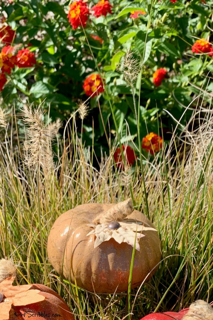 glittered pumpkin with lantana in the garden