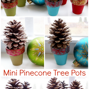 Mini Pinecone Tree Pots