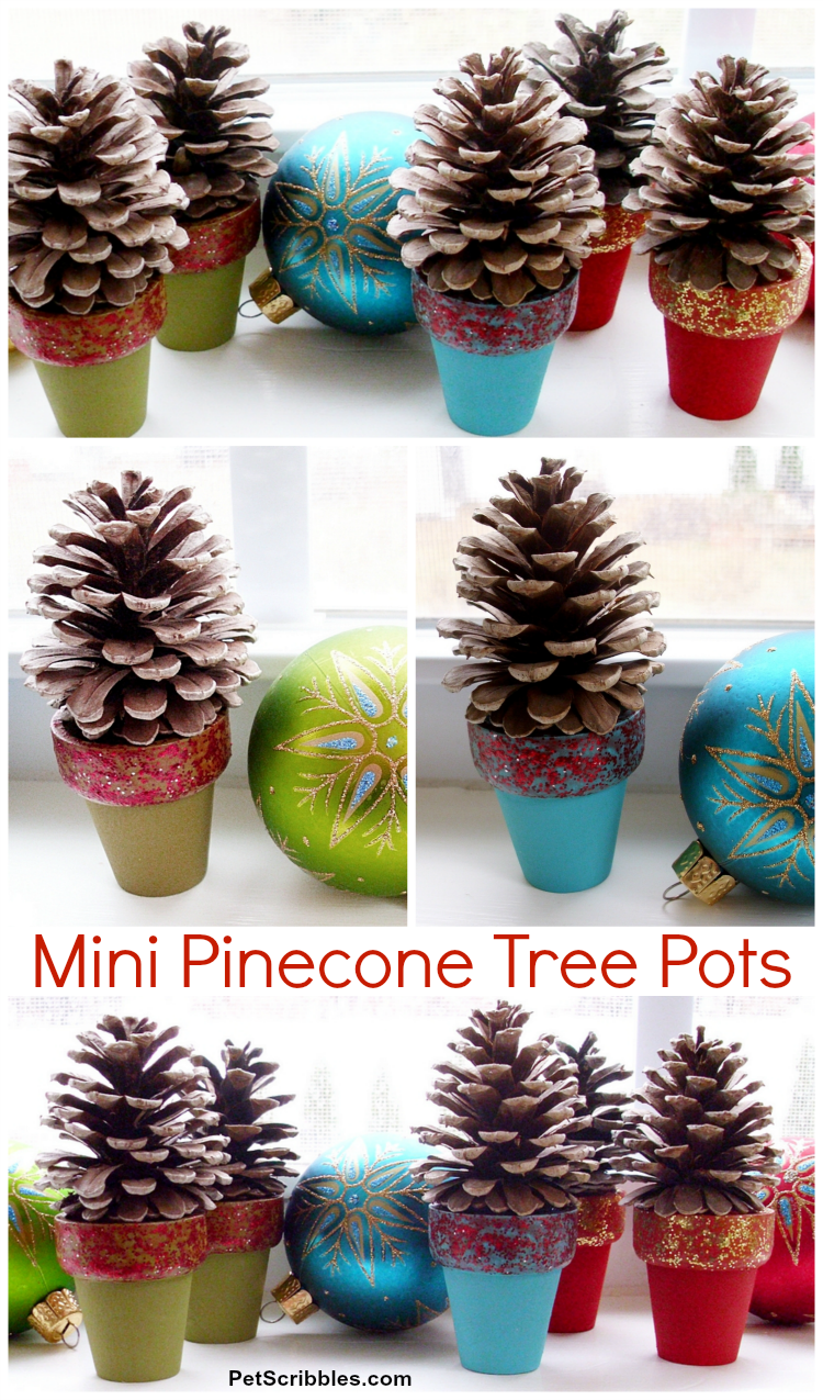 Mini Pinecone Tree Pots