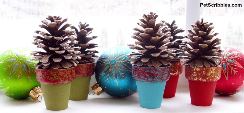 mini pinecone trees in pots