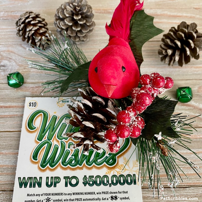 Winter Wishes Lottery Game ticket with matching holiday clip attached