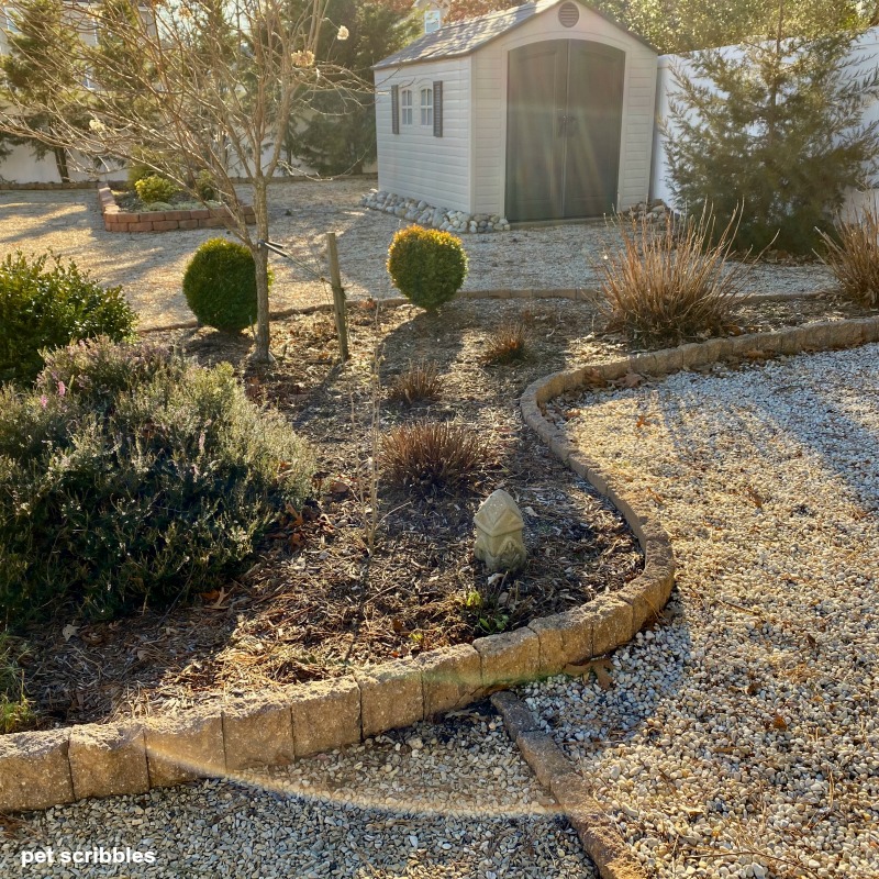 sad backyard garden in 2020 during Winter