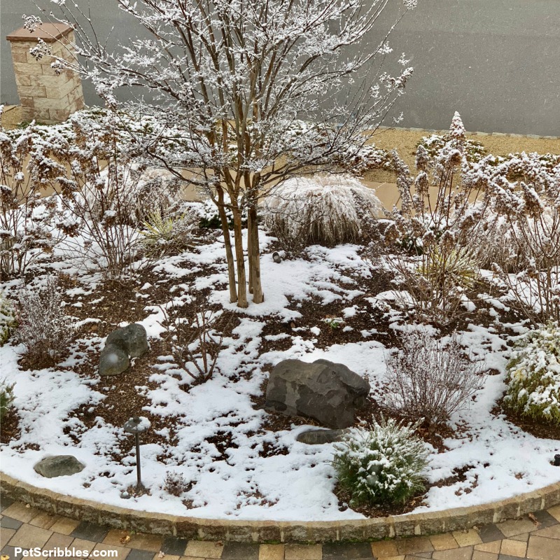 Winter garden scene with snow