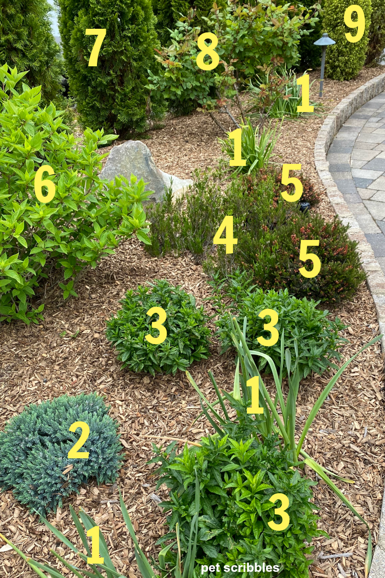 green garden color plants numbered and identified