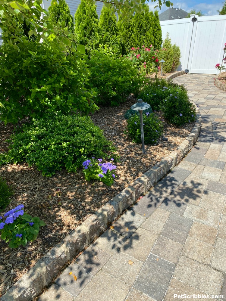 garden bed next to paver path