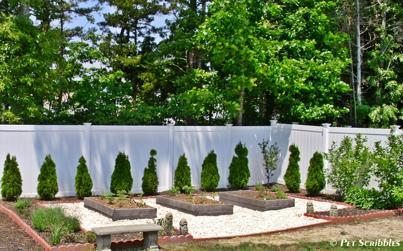 cedar vegetable beds