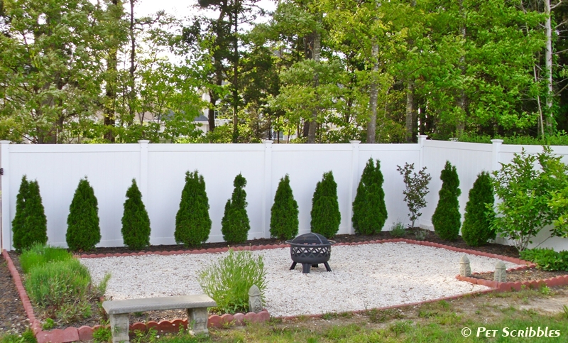 backyard firepit area