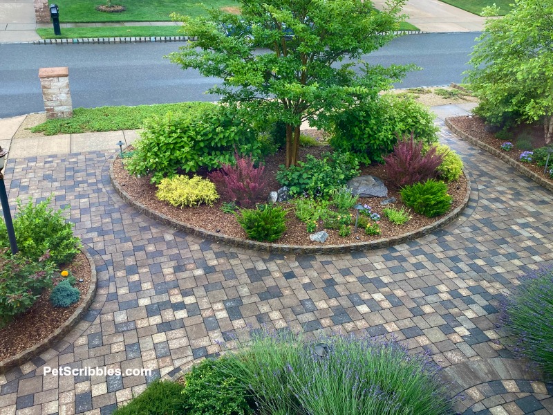 front yard hardscaping garden beds filled with shrubs and flowers in early Summer