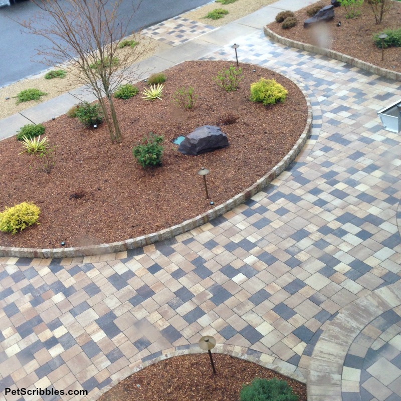 new front yard hardscaping and almost empty garden beds