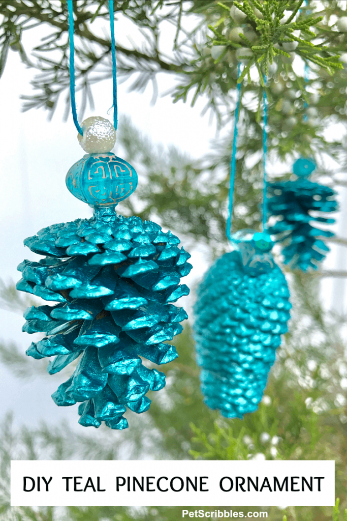 DIY teal pinecone ornaments hanging on evergreen tree outdoors