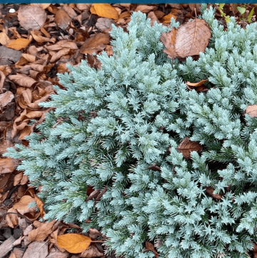 Fall garden tour featuring color and texture