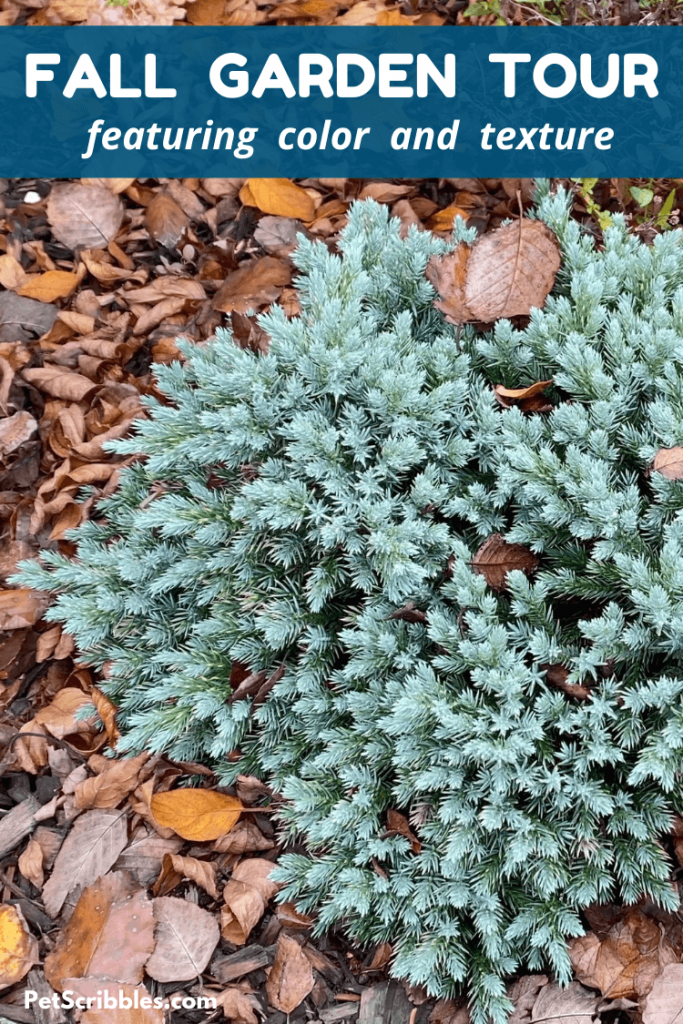 Fall garden tour featuring color and texture