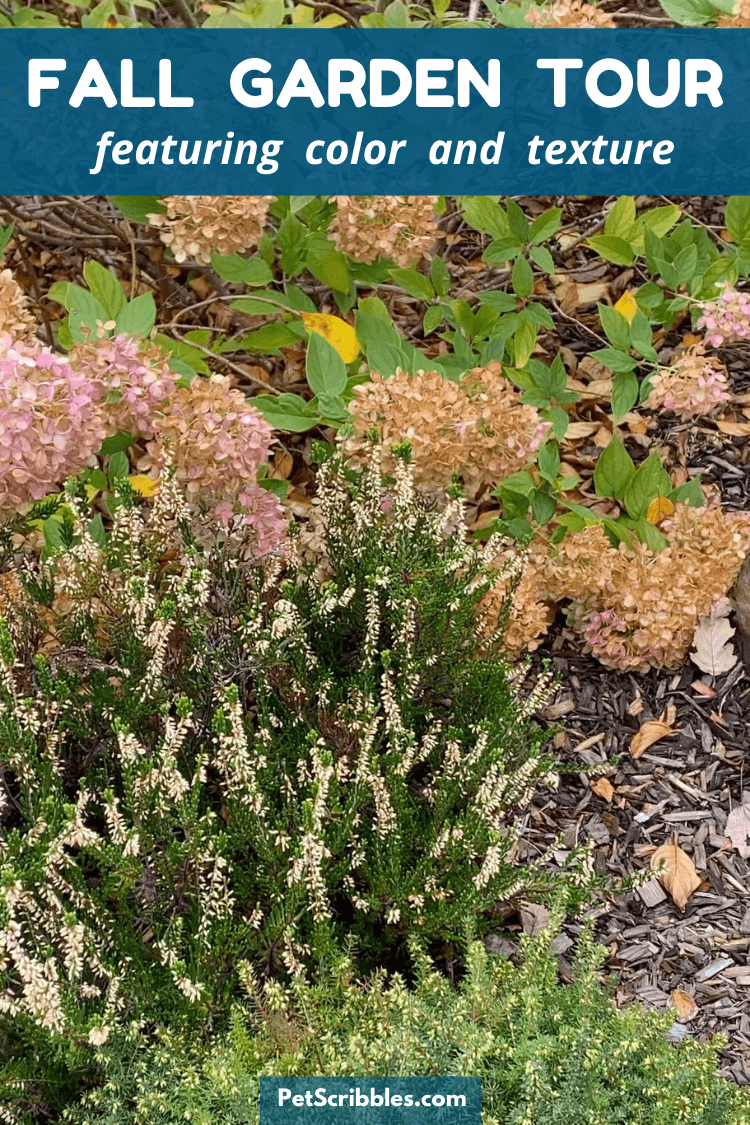 Fall Garden Tour with color and texture