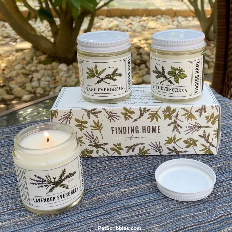 Finding Home Farms Candles
