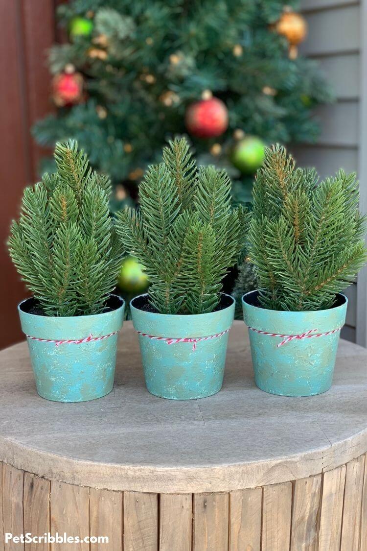 chalk painted plastic plant pots