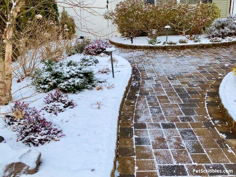 snowy Winter garden tour