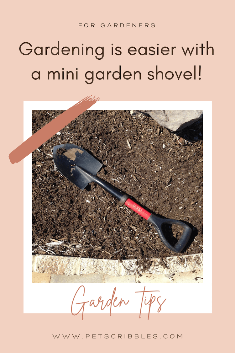 A mini garden shovel makes gardening easier. Read why this is such an essential gardening tool, especially for women. I love this shovel! via @petscribbles