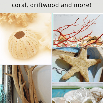 DIY Sea Life projects for coastal decor