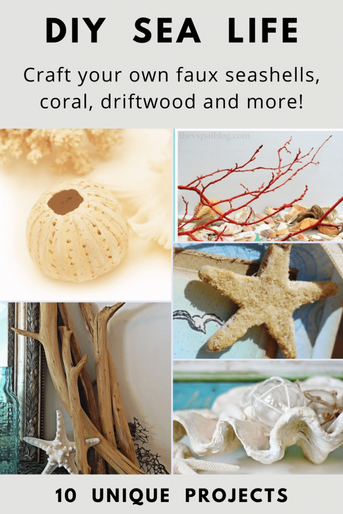 DIY Sea Life projects for coastal decor