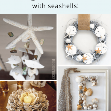 DIY Seashell Decor tutorials for coastal home decor