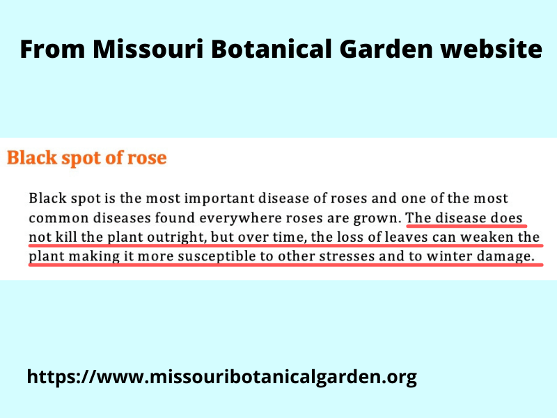 screen grab from Missouri Botanical Garden website
