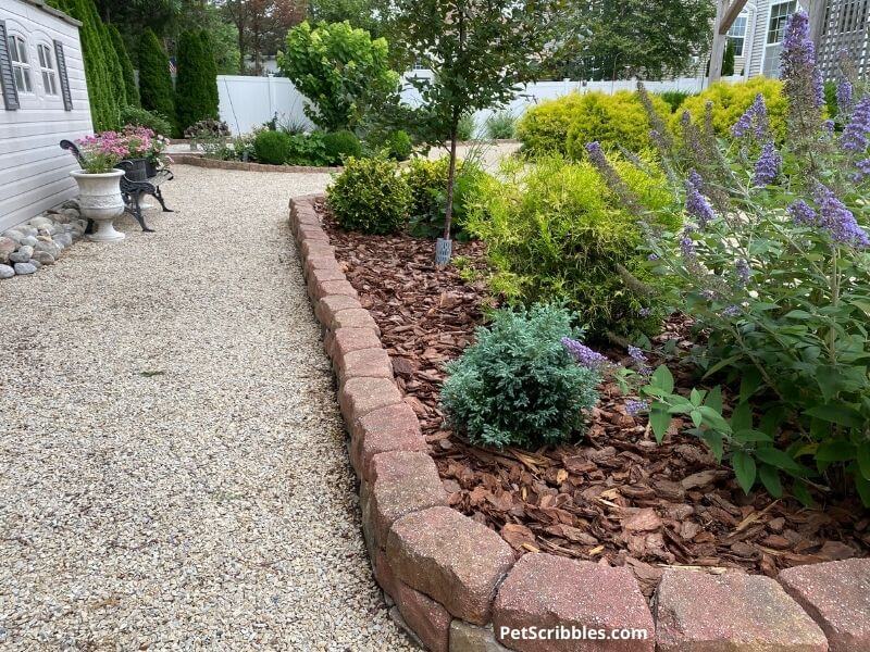 newly planted raised garden bed