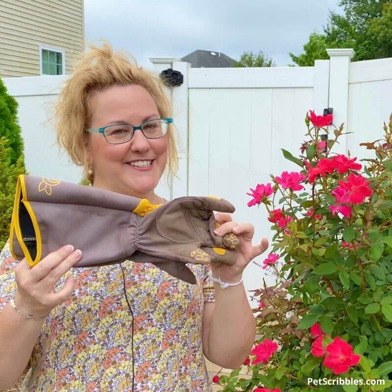 woman holding rose pruning gloves next to rose bush